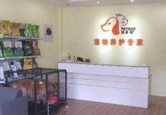 创业找项目北京宠物店加盟优